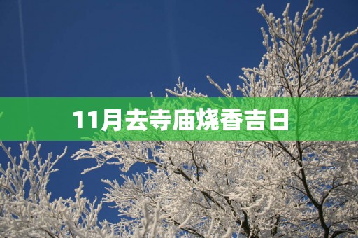 11月去寺庙烧香吉日