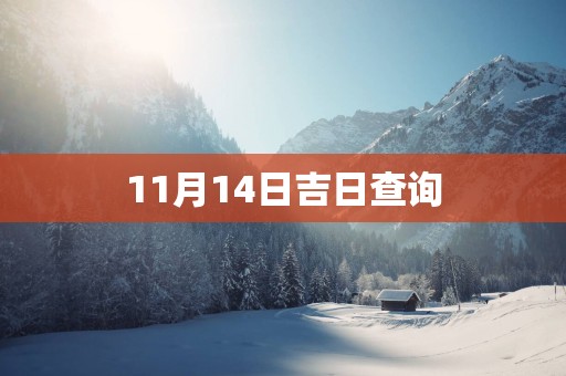 11月14日吉日查询