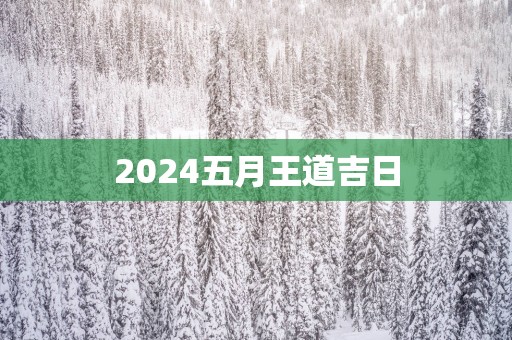 2025五月王道吉日
