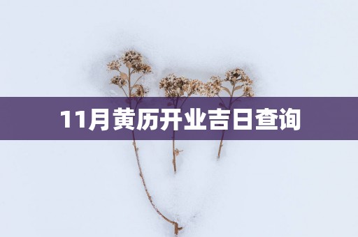 11月黄历开业吉日查询
