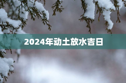 2025年动土放水吉日