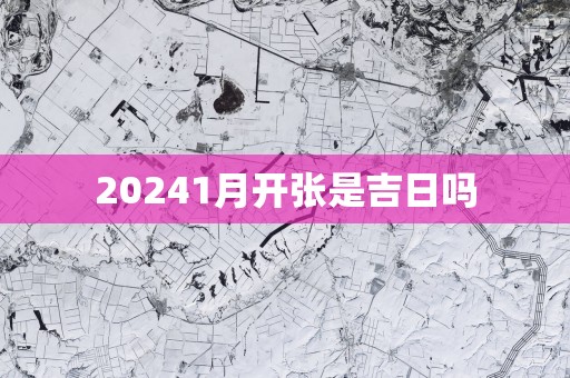 20251月开张是吉日吗