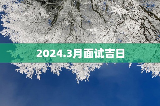 2025.3月面试吉日