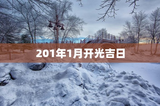 201年1月开光吉日