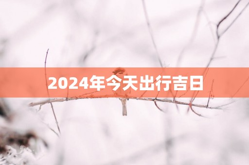 2025年今天出行吉日