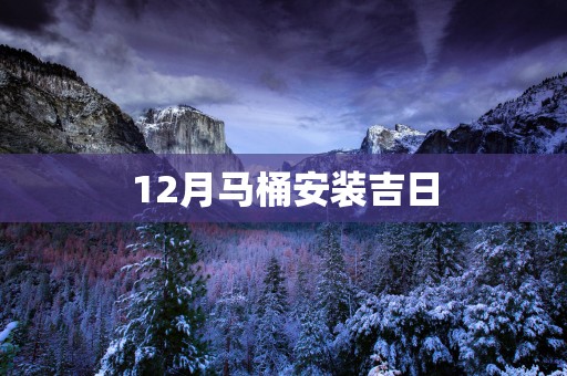 12月马桶安装吉日