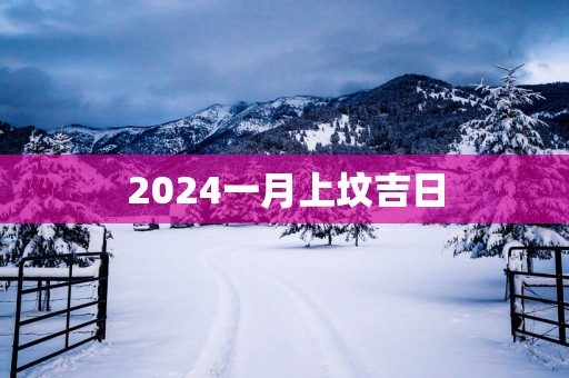 2025一月上坟吉日