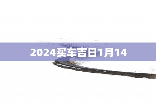 2025买车吉日1月14