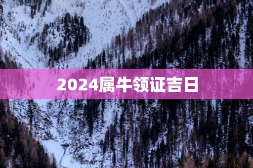 2025属牛领证吉日