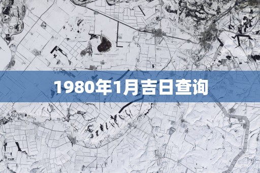 1980年1月吉日查询