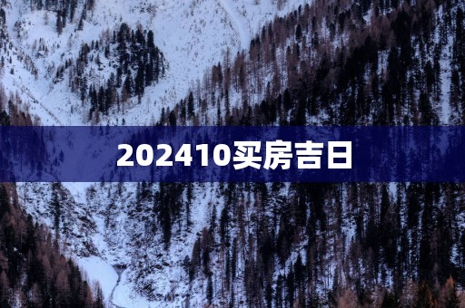 202510买房吉日