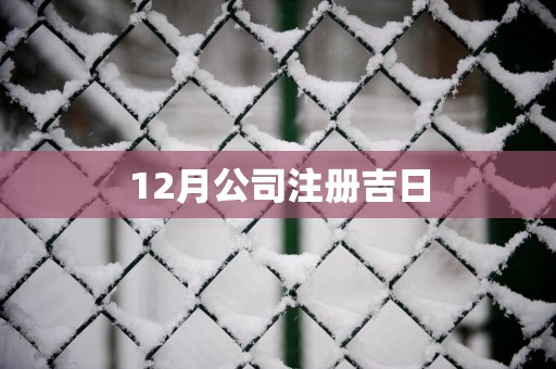 12月公司注册吉日