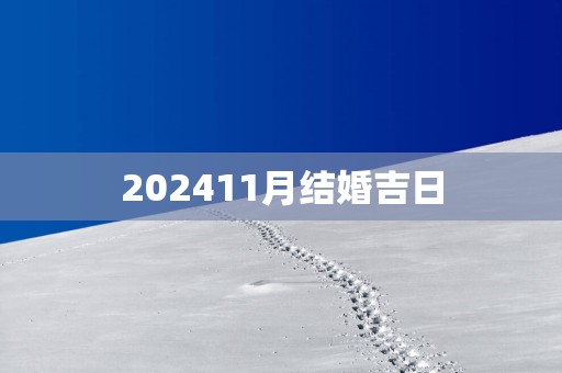 202511月结婚吉日