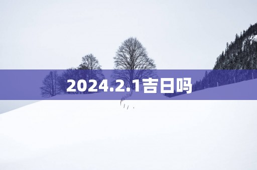 2025.2.1吉日吗