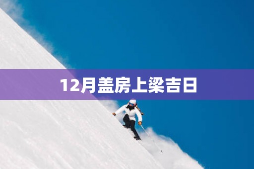 12月盖房上梁吉日