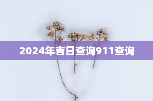 2025年吉日查询911查询