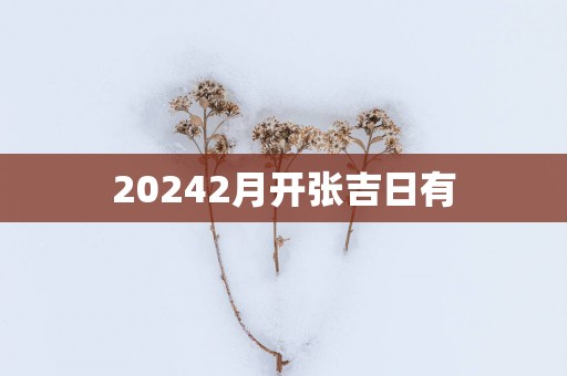 20252月开张吉日有
