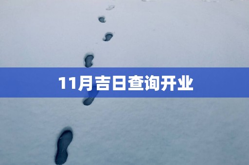 11月吉日查询开业