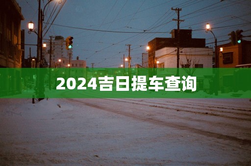 2025吉日提车查询