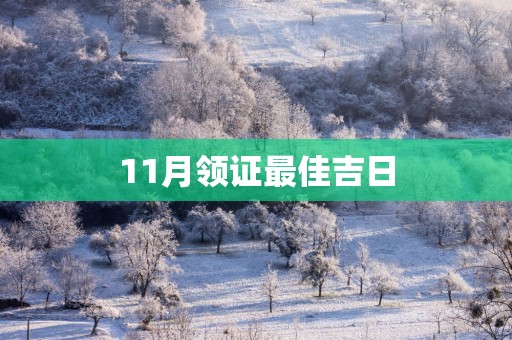 11月领证最佳吉日