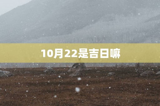 10月22是吉日嘛