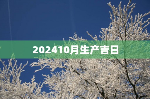 202510月生产吉日