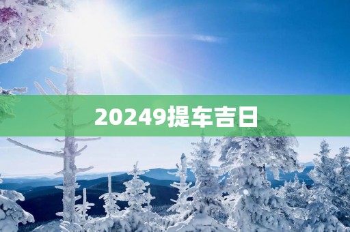 20259提车吉日