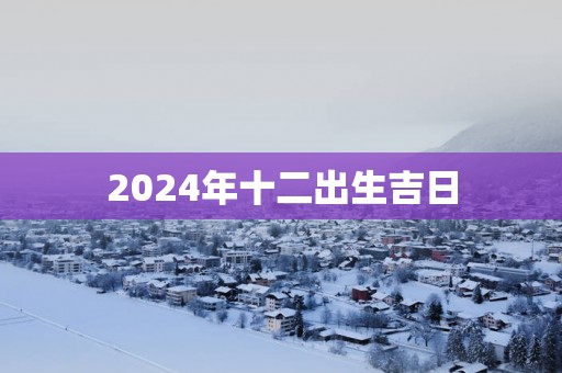 2025年十二出生吉日