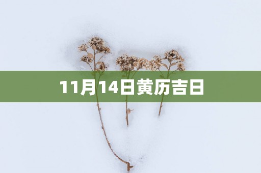 11月14日黄历吉日