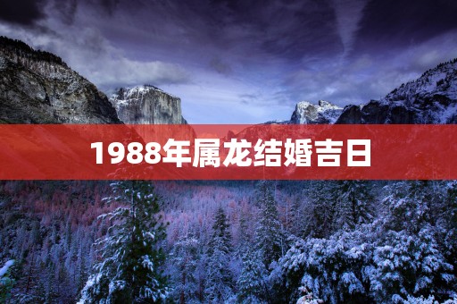 1988年属龙结婚吉日