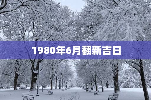 1980年6月翻新吉日