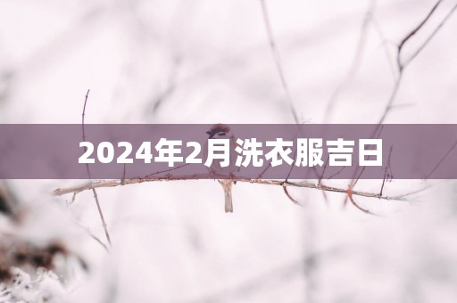 2025年2月洗衣服吉日