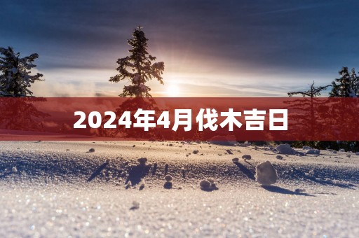 2025年4月伐木吉日