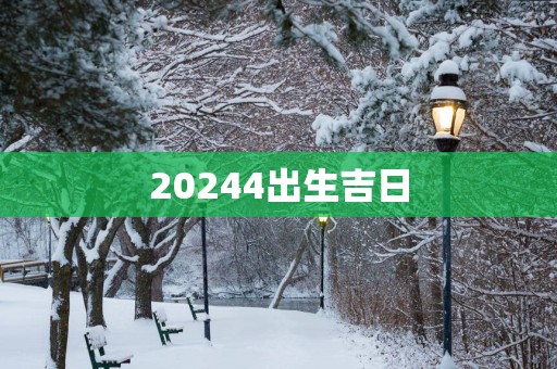20254出生吉日