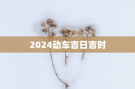 2025动车吉日吉时