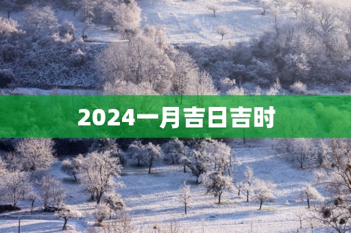 2025一月吉日吉时