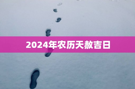 2025年农历天赦吉日