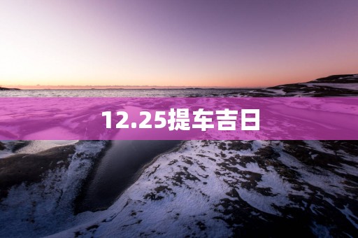 12.25提车吉日