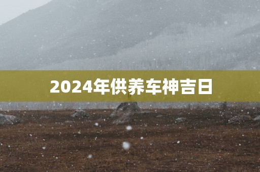 2025年供养车神吉日