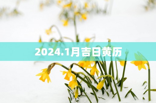 2025.1月吉日黄历