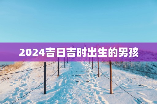 2025吉日吉时出生的男孩