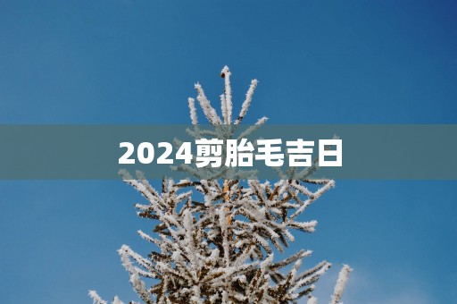 2025剪胎毛吉日