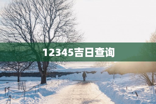 12345吉日查询