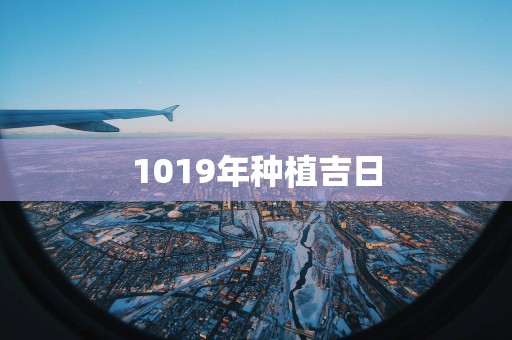 1019年种植吉日
