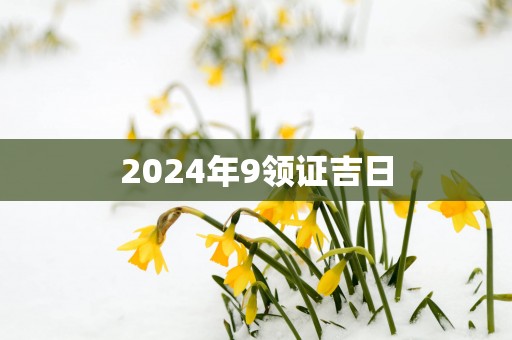 2025年9领证吉日