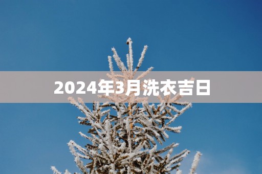 2025年3月洗衣吉日