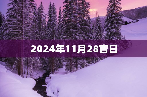 2025年11月28吉日