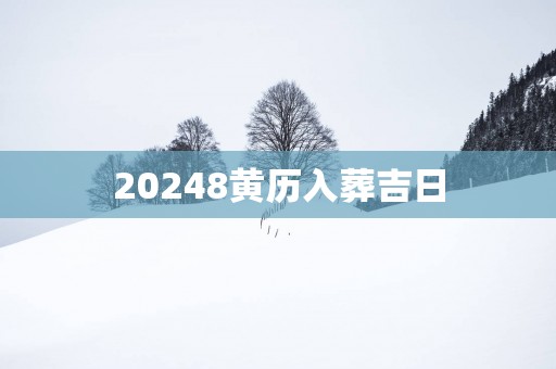 20258黄历入葬吉日