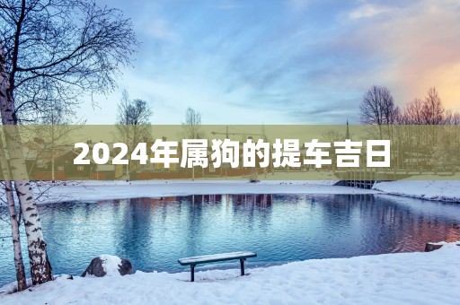 2025年属狗的提车吉日