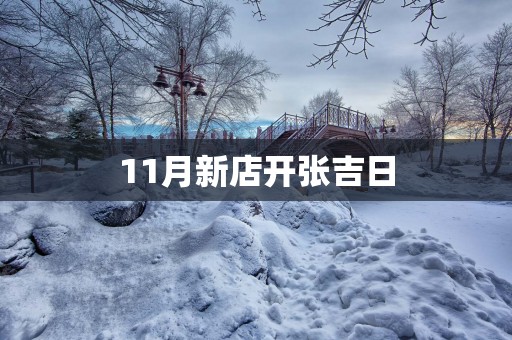 11月新店开张吉日